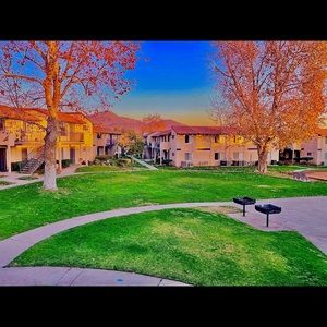 Meet your Posher, Sammy